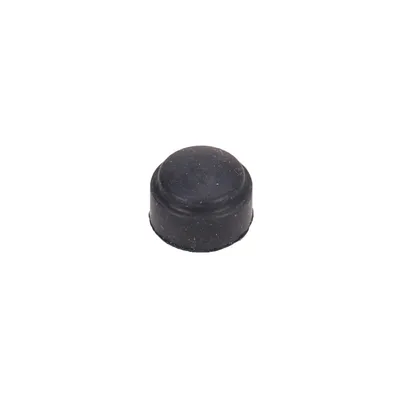 Cap for vent valve
