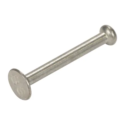 Pin for brake shoe mounting