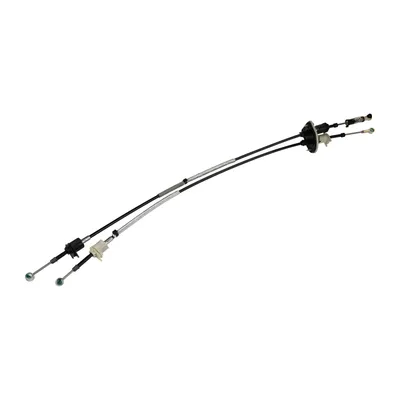 Shift cable, cable gear