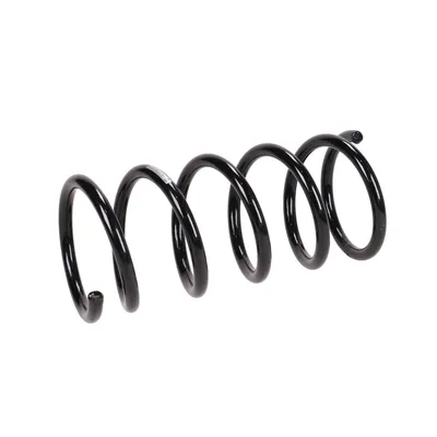 Front suspension spring