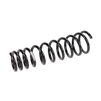 Front suspension spring