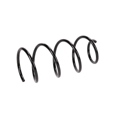Rear suspension spring