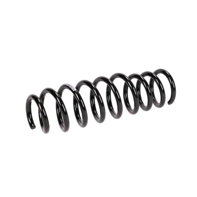 Rear suspension spring