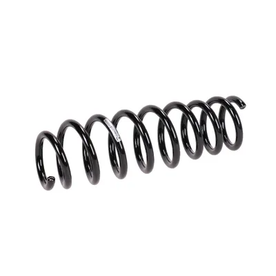Rear suspension spring
