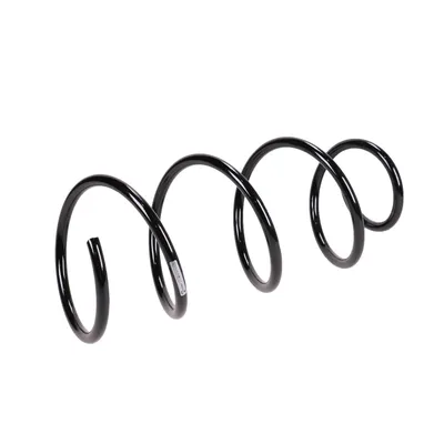 Front suspension spring