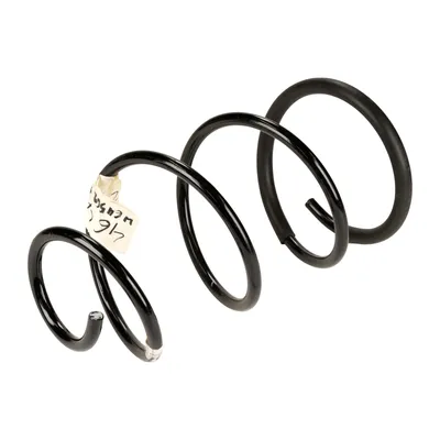 Front suspension spring
