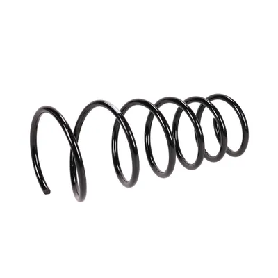 Front suspension spring