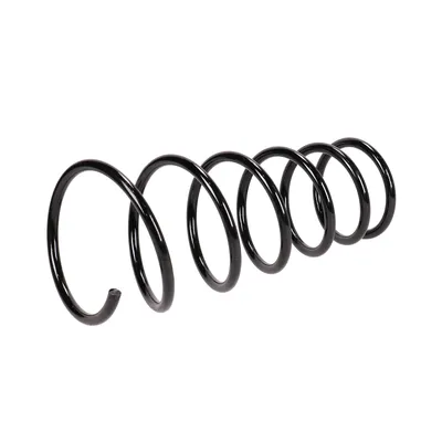 Front suspension spring