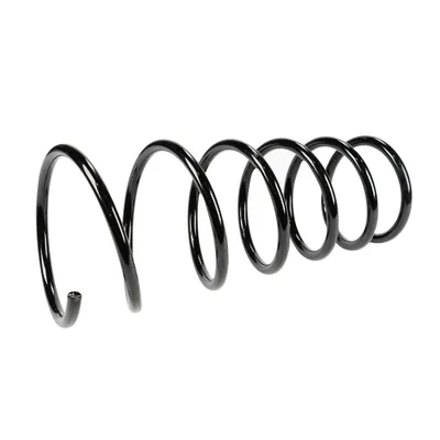Front suspension spring