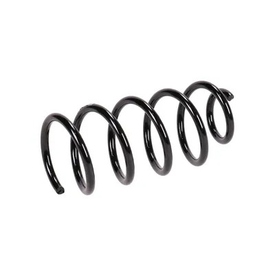 Rear suspension spring