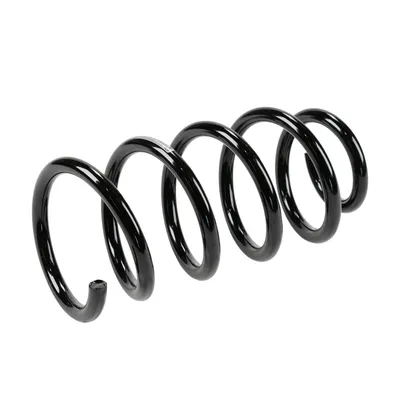 Rear suspension spring