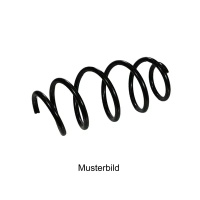 Front spring - climate