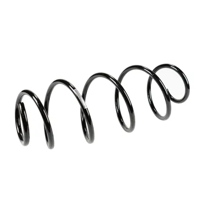 Front suspension spring