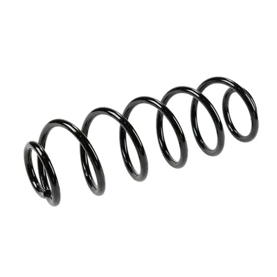 Rear suspension spring
