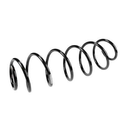 Front suspension spring
