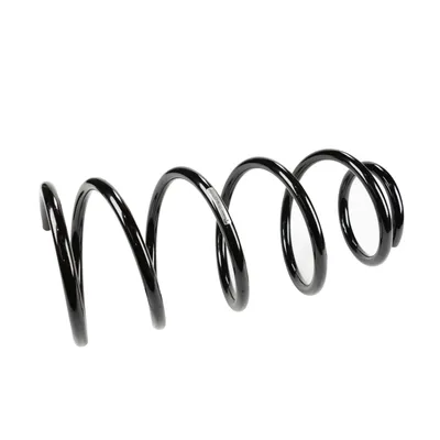 Front suspension spring