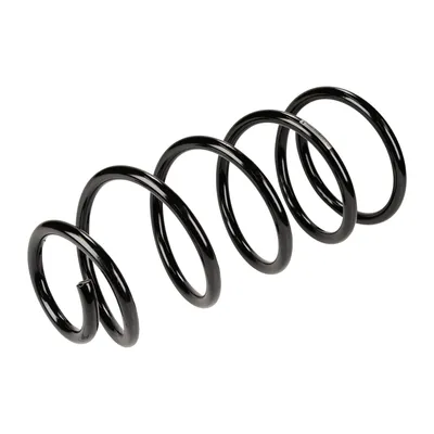 Front suspension spring