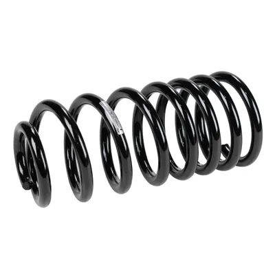 Spring coil spring rear