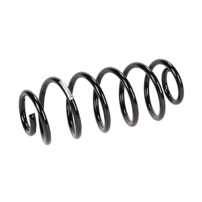 Rear suspension spring