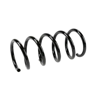 Rear suspension spring