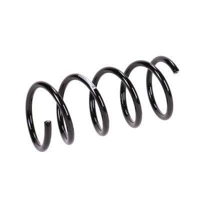 Rear suspension spring