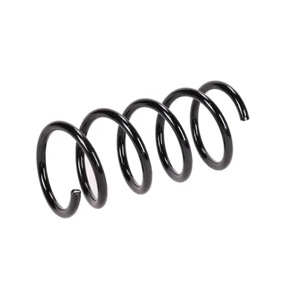Rear suspension spring