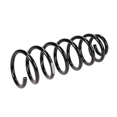 Rear suspension spring reinforced