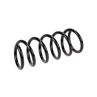 Rear suspension spring