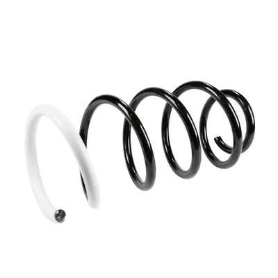 Front suspension spring