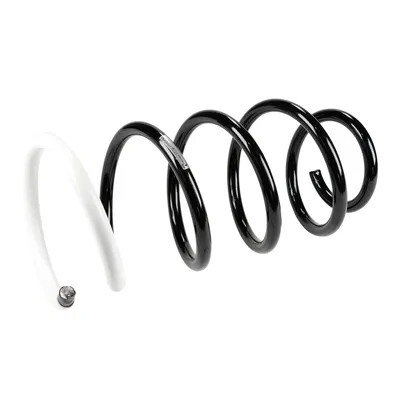 Front suspension spring