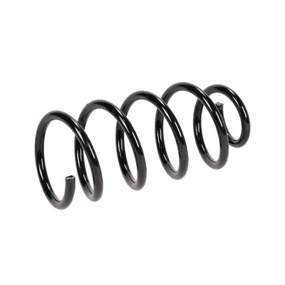 Rear suspension spring