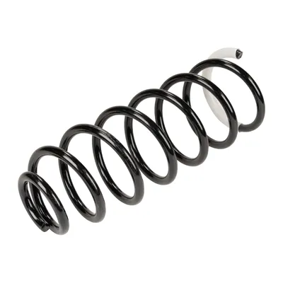 Rear suspension spring