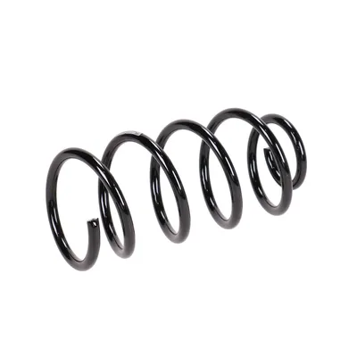 Rear suspension spring