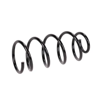 Rear suspension spring