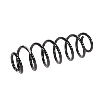 Rear suspension spring