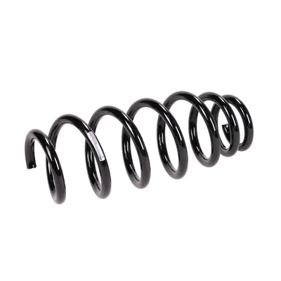 Front suspension spring