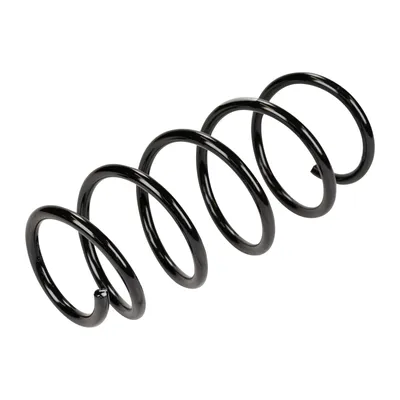 Front suspension spring