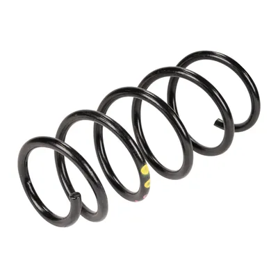 Front suspension spring