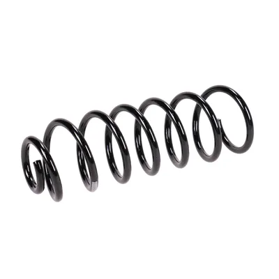 Rear suspension spring