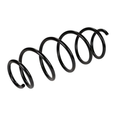 Front suspension spring