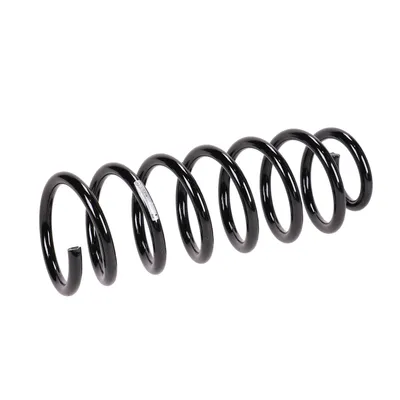 Front suspension spring