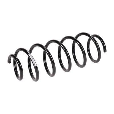 Rear suspension spring