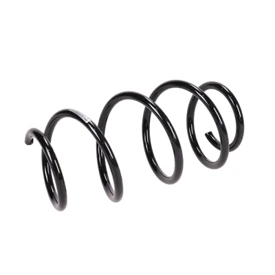 Front suspension spring