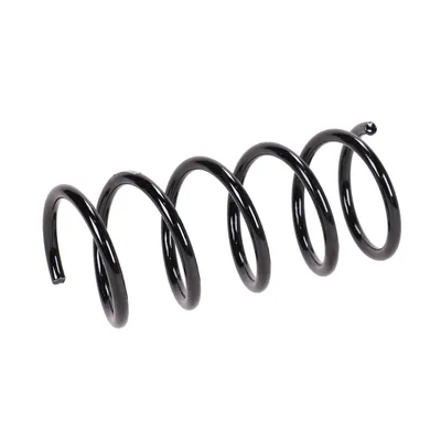 Rear suspension spring