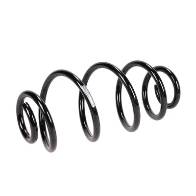 Rear suspension spring