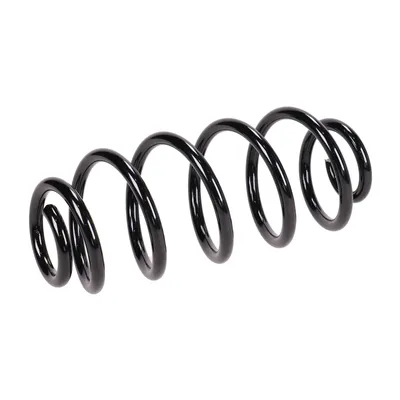 Rear suspension spring
