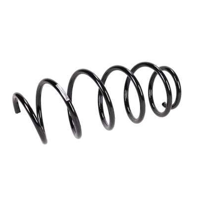 Front suspension spring