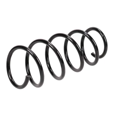 Spiral spring
