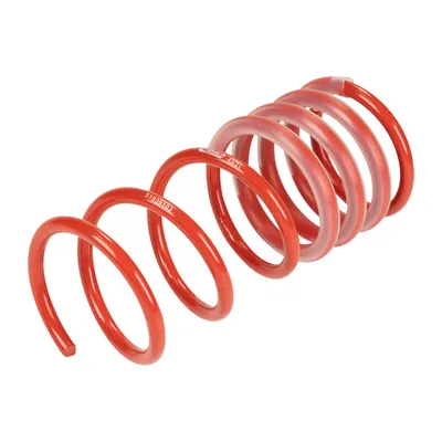 Coil spring rear suspension spring
