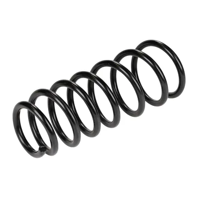 Rear suspension spring